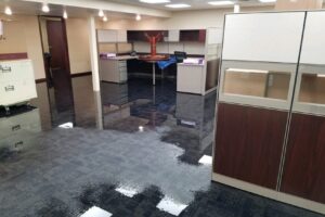 commercial_water_damage_services_plano
