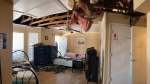 storm damage and disaster damage repair services in Plano