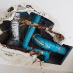mold damage assessment in Plano