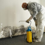 mold removal in Plano